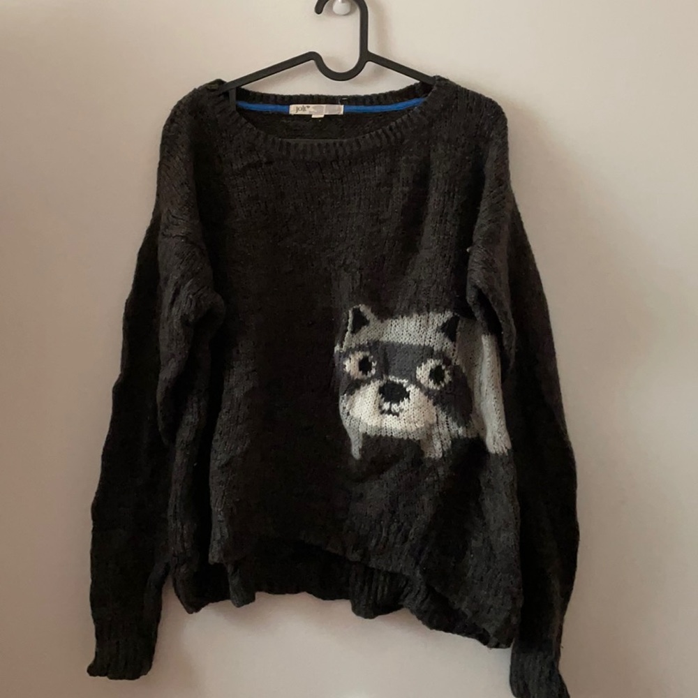 Raccoon knit sweater